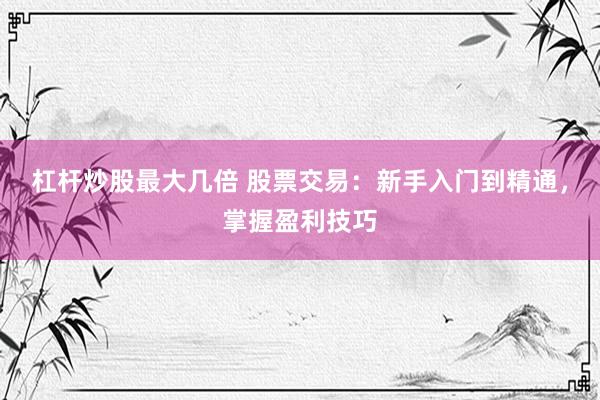 杠桿炒股最大幾倍 股票交易：新手入門(mén)到精通，掌握盈利技巧